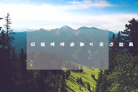 闪银哼哼逾期5天还能再借吗 闪银哼哼逾期5天还能再借吗