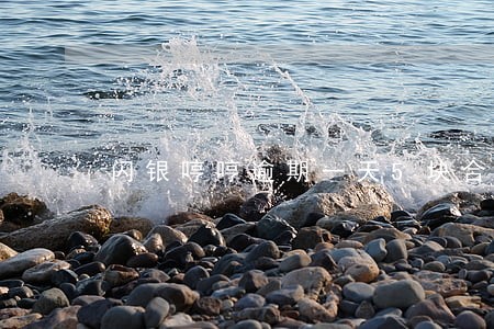 闪银哼哼逾期一天5块合理吗 闪银哼哼逾期一天5块合理吗