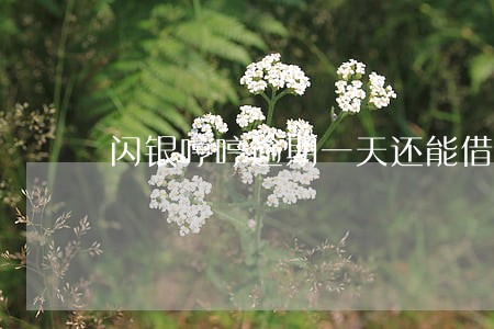 闪银哼哼逾期一天还能借么 闪银哼哼逾期一天还能借么