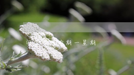 闪银哼哼逾期一星期 闪银哼哼逾期一星期