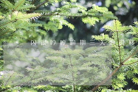 闪银哼哼逾期三天他说移交了