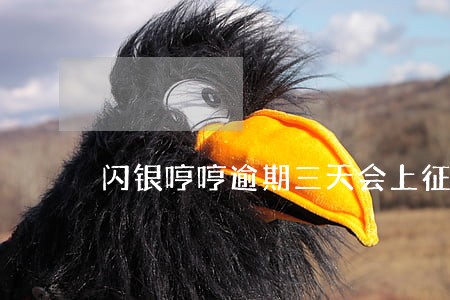 闪银哼哼逾期三天会上征信吗 闪银哼哼逾期三天会上征信吗