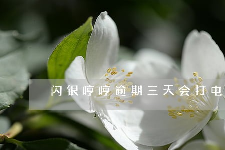 闪银哼哼逾期三天会打电话吗 闪银哼哼逾期三天会打电话吗