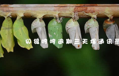 闪银哼哼逾期三天爆通讯录么 闪银哼哼逾期三天爆通讯录么