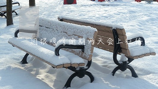 闪银哼哼逾期两天会上征信吗 闪银哼哼逾期两天会上征信吗