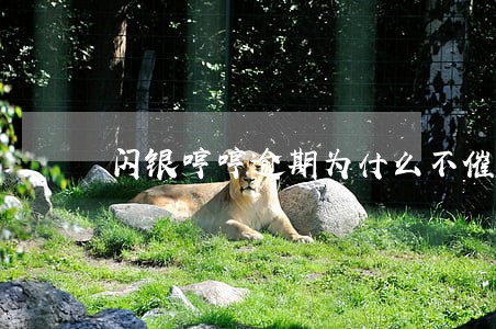 闪银哼哼逾期为什么不催收我 闪银哼哼逾期为什么不催收我