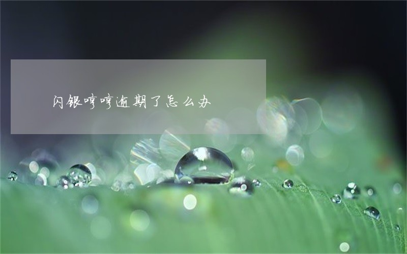 闪银哼哼逾期了怎么办 闪银哼哼逾期了怎么办