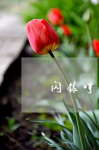 闪银哼哼逾期什么时候出延期 闪银哼哼逾期什么时候出延期