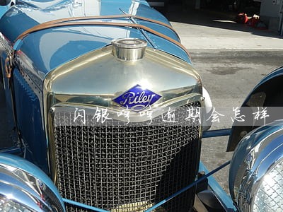 闪银哼哼逾期会怎样 闪银哼哼逾期会怎样
