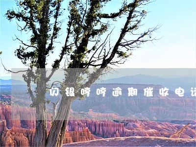 闪银哼哼逾期催收电话 闪银哼哼逾期催收电话