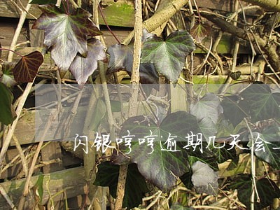 闪银哼哼逾期几天会上征信吗 闪银哼哼逾期几天会上征信吗