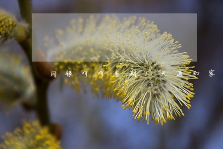 闪银哼哼逾期几天通知家人 闪银哼哼逾期几天通知家人