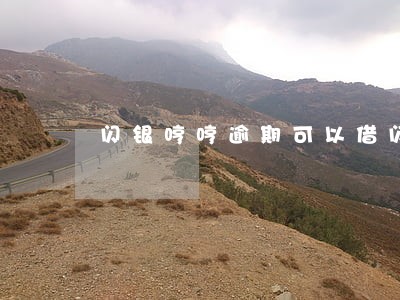 闪银哼哼逾期可以借闪贷吗 闪银哼哼逾期可以借闪贷吗