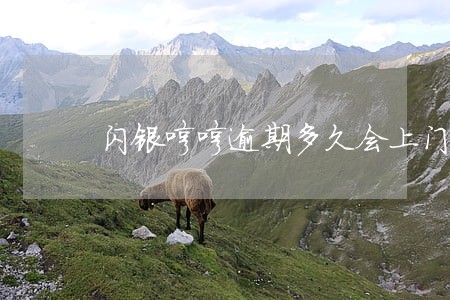 闪银哼哼逾期多久会上门催收 闪银哼哼逾期多久会上门催收