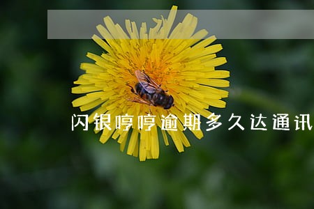 闪银哼哼逾期多久达通讯录 闪银哼哼逾期多久达通讯录