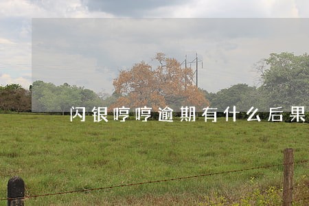 闪银哼哼逾期有什么后果 闪银哼哼逾期有什么后果