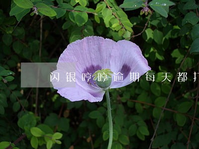 闪银哼哼逾期每天都打电话的 闪银哼哼逾期每天都打电话的