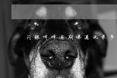 闪银哼哼逾期爆通讯录多久 闪银哼哼逾期爆通讯录多久
