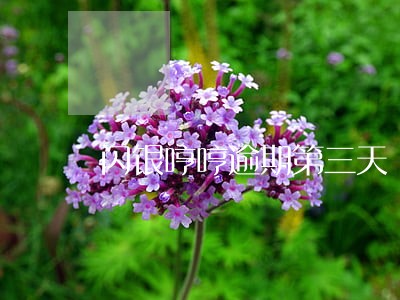 闪银哼哼逾期第三天 闪银哼哼逾期第三天