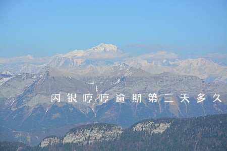 闪银哼哼逾期第三天多久爆 闪银哼哼逾期第三天多久爆