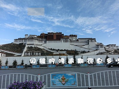闪银哼哼逾期罚息多少 闪银哼哼逾期罚息多少