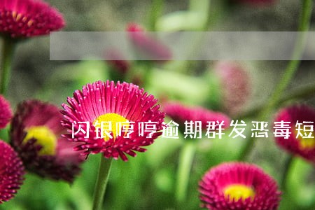 闪银哼哼逾期群发恶毒短信 闪银哼哼逾期群发恶毒短信