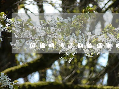 闪银哼哼逾期能延期吗 闪银哼哼逾期能延期吗