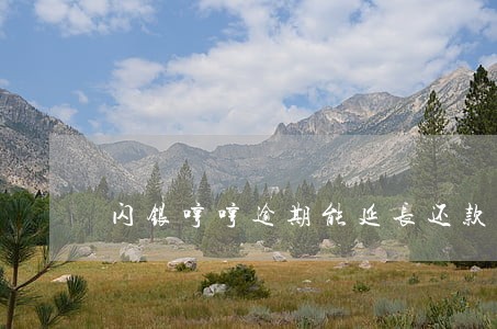 闪银哼哼逾期能延长还款吗 闪银哼哼逾期能延长还款吗