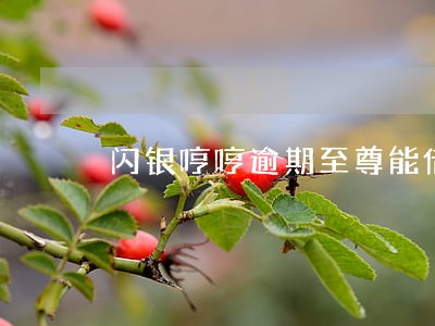 闪银哼哼逾期至尊能借吗 闪银哼哼逾期至尊能借吗