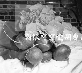 闪银哼哼逾期费用 闪银哼哼逾期费用