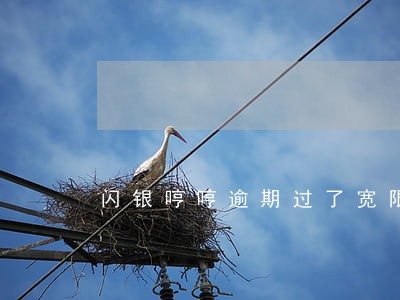 闪银哼哼逾期过了宽限期 闪银哼哼逾期过了宽限期