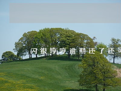 闪银哼哼逾期还了还可以借吗 闪银哼哼逾期还了还可以借吗