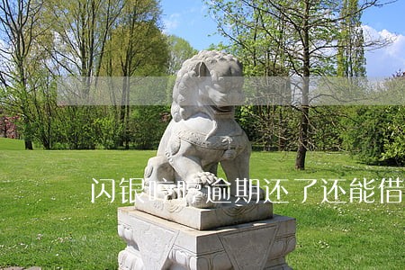 闪银哼哼逾期还了还能借吗 闪银哼哼逾期还了还能借吗
