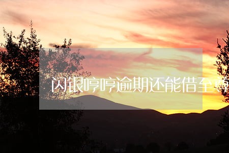 闪银哼哼逾期还能借至尊贷吗 闪银哼哼逾期还能借至尊贷吗