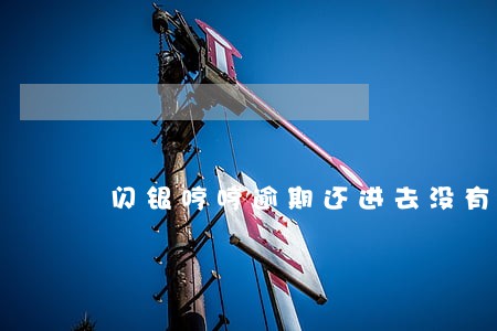闪银哼哼逾期还进去没有解冻 闪银哼哼逾期还进去没有解冻