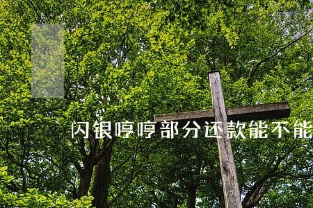 闪银哼哼部分还款能不能逾期 闪银哼哼部分还款能不能逾期