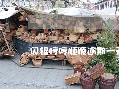 闪银哼哼顺顺逾期一天 闪银哼哼顺顺逾期一天