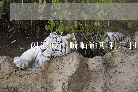 闪银哼哼顺顺逾期利息封顶 闪银哼哼顺顺逾期利息封顶