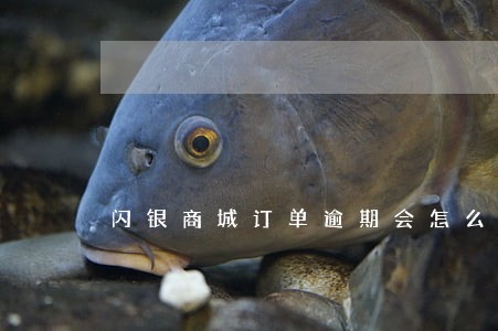 闪银商城订单逾期会怎么样 闪银商城订单逾期会怎么样