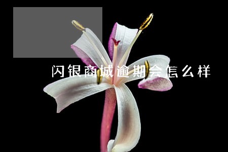 闪银商城逾期会怎么样 闪银商城逾期会怎么样