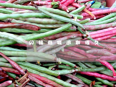 闪银商城逾期很久 闪银商城逾期很久