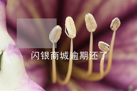 闪银商城逾期还了 闪银商城逾期还了