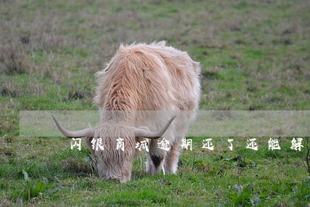 闪银商城逾期还了还能解冻吗 闪银商城逾期还了还能解冻吗