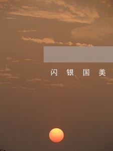 闪银国美金融逾期催收 闪银国美金融逾期催收