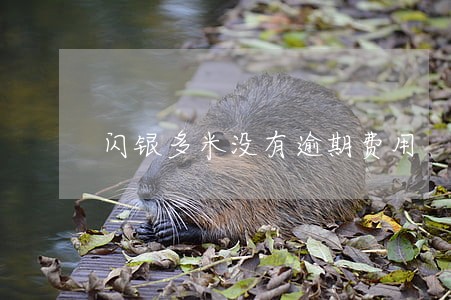 闪银多米没有逾期费用 闪银多米没有逾期费用