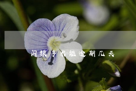 闪银多米能逾期几天 闪银多米能逾期几天