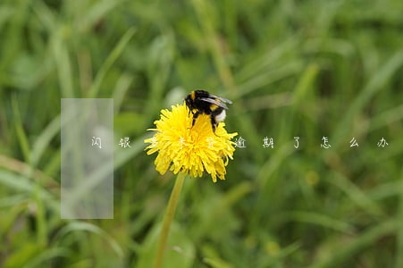 闪银多米贷逾期了怎么办 闪银多米贷逾期了怎么办