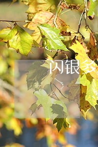 闪银多米贷逾期催收 闪银多米贷逾期催收