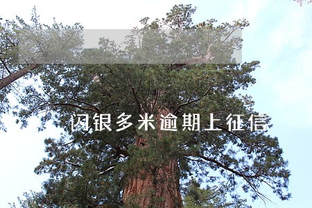 闪银多米逾期上征信 闪银多米逾期上征信