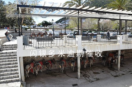 闪银多米逾期催收 闪银多米逾期催收